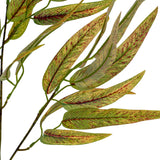Variegated Long Leaf Eucalyptus Spray