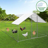 Chicken Run 4m x 6m x 2m