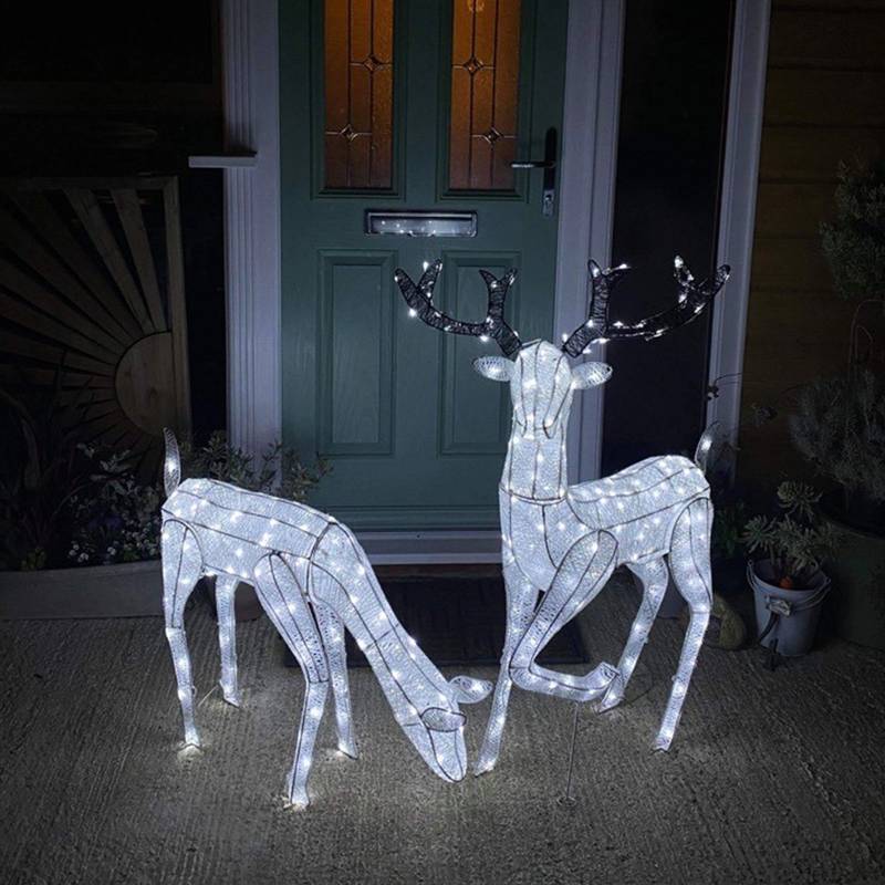 Large Light Up Stag & Doe Reindeer Set