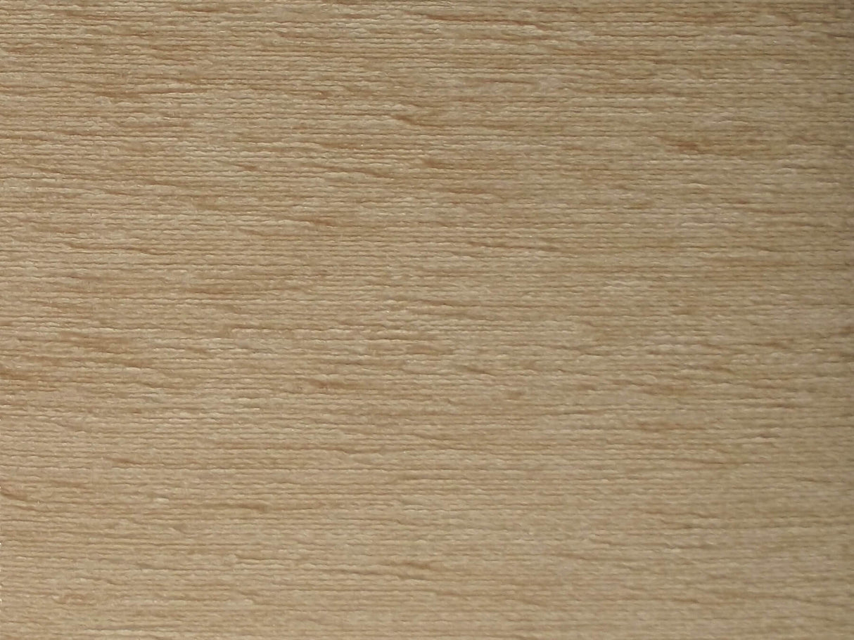 Camden Plain Oyster / SR12440