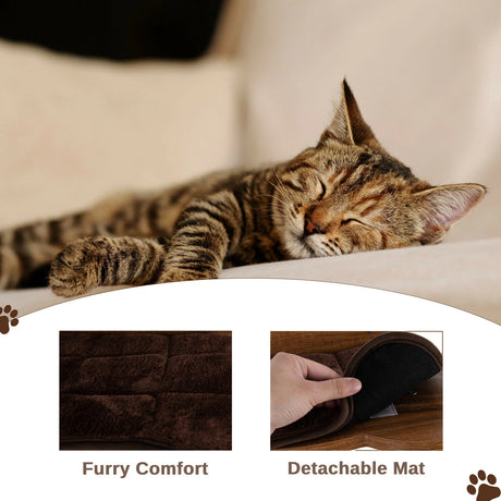 Wall-Mounted Cat Climbing Frame with Ladder Walkway for Indoor Cat