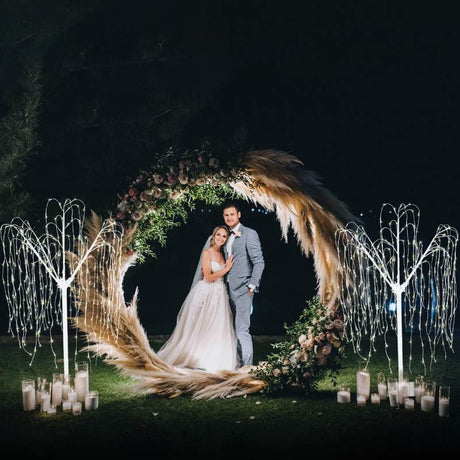 Wedding Moongate - Gold & 2 x Weeping Willow Tree 240cm Warm White