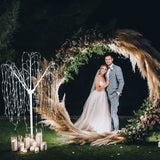 Wedding Moongate - Gold & 1 x Weeping Willow Tree 240cm Cool White