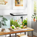 PawHut 28L Glass Aquarium Fish Tank with Filter, LED Lighting, for Betta, Guppy, Mini Parrot Fish, Shrimp, 38 x 26 x 39.5cm