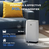 HOMCOM 12L/Day Dehumidifier with Continuous Drainage, 2.5L Water Tank, 24H Timer, Humidity Display, for Home Damp, Condensation, Mould and Laundry Drying, White