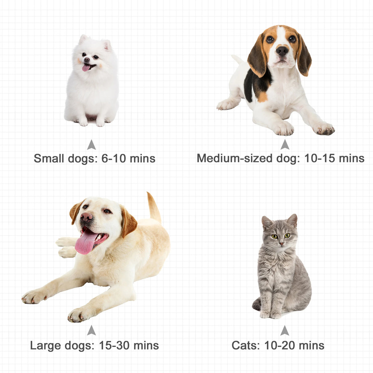 PawHut Dog Hair Dryer Pet Grooming Blaster Dryer Blower Adjustable Temperature Speed with 2.1M Flexible Hose 3 Nozzles - Black