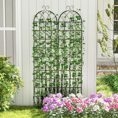 2 Pack Metal Garden Trellis Decorative for Climbing Plants-Black