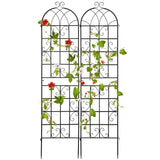 2 Pack Metal Garden Trellis Decorative for Climbing Plants-Black