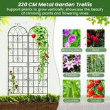 2 Pack Metal Garden Trellis Decorative for Climbing Plants-Black