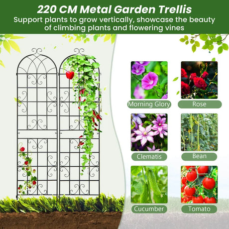 2 Pack Metal Garden Trellis Decorative for Climbing Plants-Black