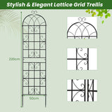 2 Pack Metal Garden Trellis Decorative for Climbing Plants-Black