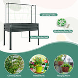 3-in-1 Raised Garden Bed with Greenhouse Cover and Trellis-Grey