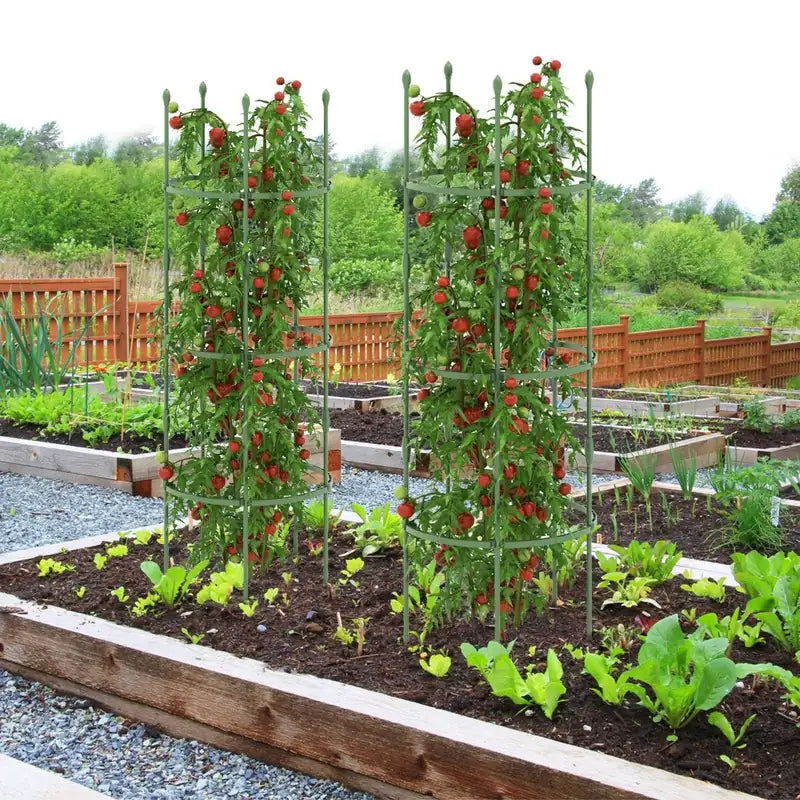 3-Pack Garden Trellis 40"/60" Tall Plant Support Stands with Clips and Ties-M