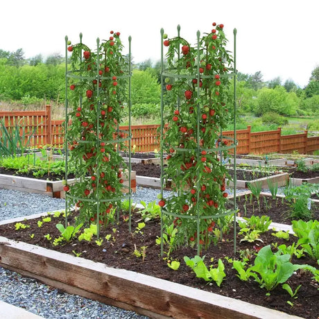 3-Pack Garden Trellis 40"/60" Tall Plant Support Stands with Clips and Ties-M