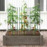 3 Pack 60 inch Adjustable Tall Plant Support Trellis for Climbing Plants