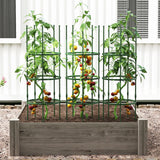 3 Pack 60 inch Adjustable Tall Plant Support Trellis for Climbing Plants
