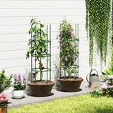 3 Pack 60 inch Adjustable Tall Plant Support Trellis for Climbing Plants