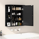 Wall-Mounted Bathroom Mirror Cabinet with Storage Shelves-Black