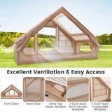 4-6 People Waterproof Inflatable Camping Tent with Pump-Beige