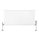Oval Single Column Radiator & Valves  600mm x 1200mm  White