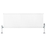 Oval Single Column Radiator & Valves  600mm x 1620mm  White