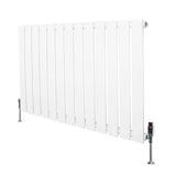 Flat Single Column Radiator & Valves  600mm x 910mm  White