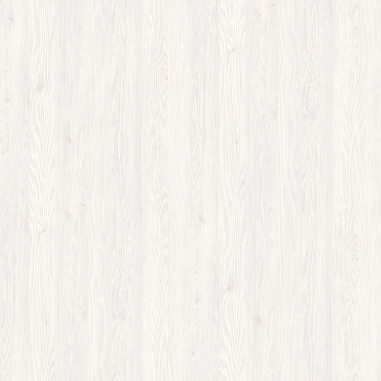 Celesto Shelf in White and Oak