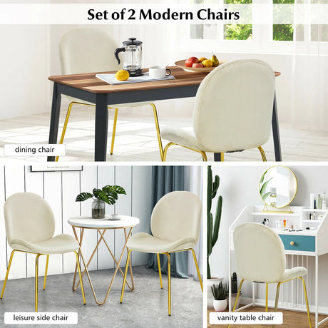 Set of 2 Modern Velvet Dining Chairs with Golden Finished Metal Legs for Kitchen and Dining Room
