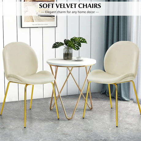 Set of 2 Modern Velvet Dining Chairs with Golden Finished Metal Legs for Kitchen and Dining Room