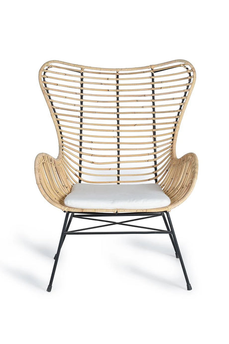 Giner and Colomer  Set Of 2 Rattan Chairs With Cushions