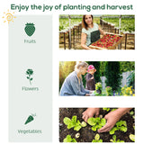 Outsunny 4 Tier Mini Greenhouse for Outdoor, Portable Gardening Plant Green House with Storage Shelf, Roll-Up Zipped Door, Metal Frame and PE Cover, 80 x 49 x 160cm, Green