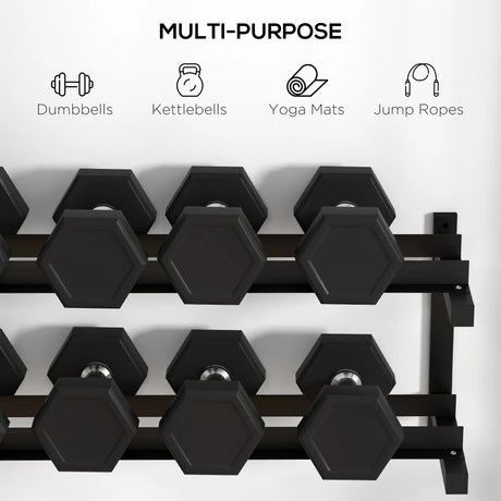 SPORTNOW Wall-Mounted Dumbbell Rack, 2-Tier Weight Stand, Space-Saving and Multi-Functional Steel organiser for Home Gym, Black