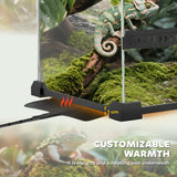 PawHut Reptile Glass Terrarium with Stone Background, Front Ventilation, Escape-Proof Knob Lock, 30 x 30 x 30 cm, Black