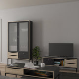 Stubbe TV Unit with Door and Drawers in Black Oak