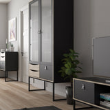 Stubbe TV Unit with Door and Drawers in Black Oak