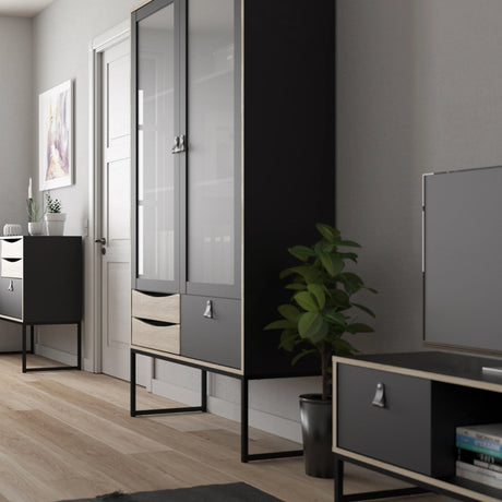 Stubbe TV Unit with Door and Drawers in Black Oak