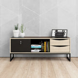 Stubbe TV Unit with Door and Drawers in Black Oak