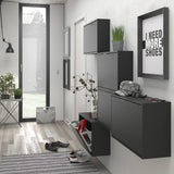 Shoes Cabinet with 3 Flip Down Doors and 2 Layers in Matt Black