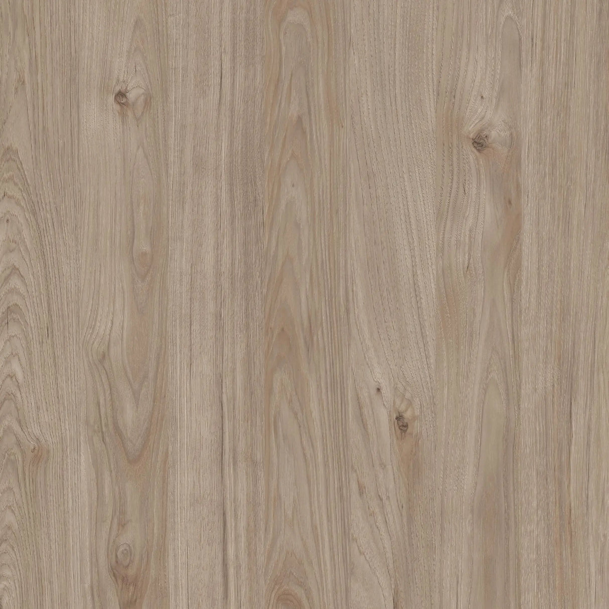 Rome TV Unit 2 Sliding Doors Oak and Matt Black