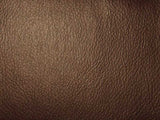 Lisbon Mocha / SR14354 (Per Metre)
