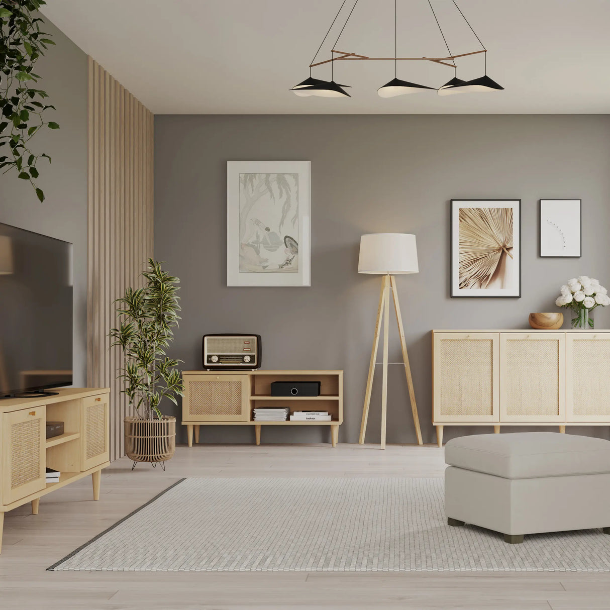 Calasetta 1 Door TV Unit in Rattan