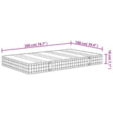 vidaXL Bonnell Spring Mattress Medium 100x200 cm