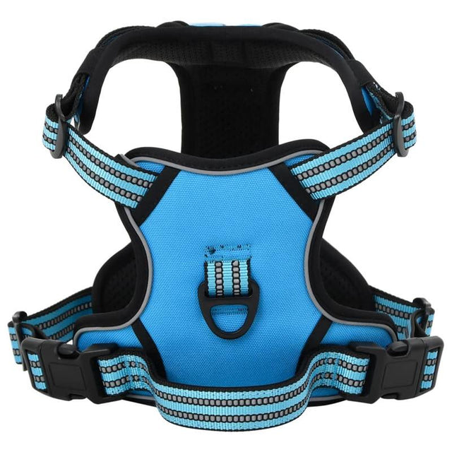 vidaXL Dog Harness with Lead & Collar Adjustable Blue L