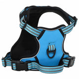 vidaXL Dog Harness with Lead & Collar Adjustable Blue L