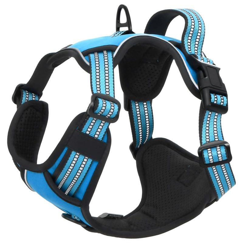 vidaXL Dog Harness with Lead & Collar Adjustable Blue L