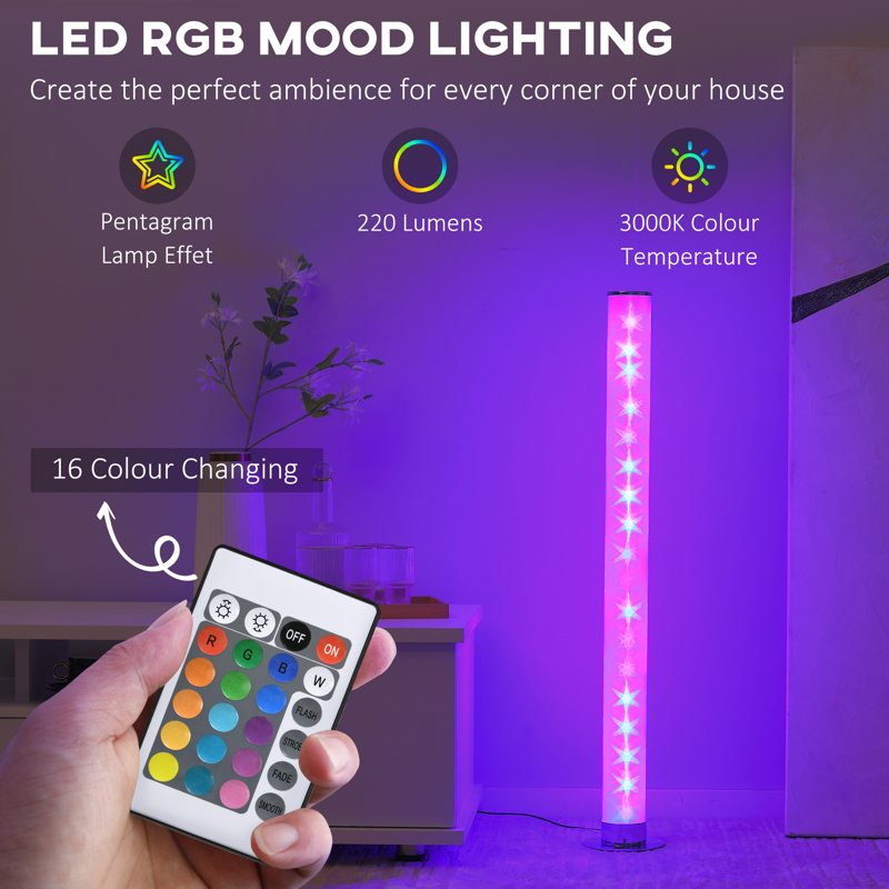 HOMCOM RGB Floor Lamp, Dimmable Corner Lamp with Remote Control & 16 Colours Effects, LED Modern Mood Lighting for Living Room Bedroom Gaming Room, Max Power 5W