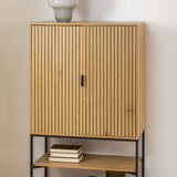 Jaipur Cabinet with 2 doors in Black