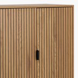 Jaipur Cabinet with 2 doors in Black