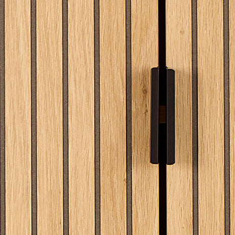 Jaipur Cabinet 2 Doors 3 Shelves With Oak Lamella Front