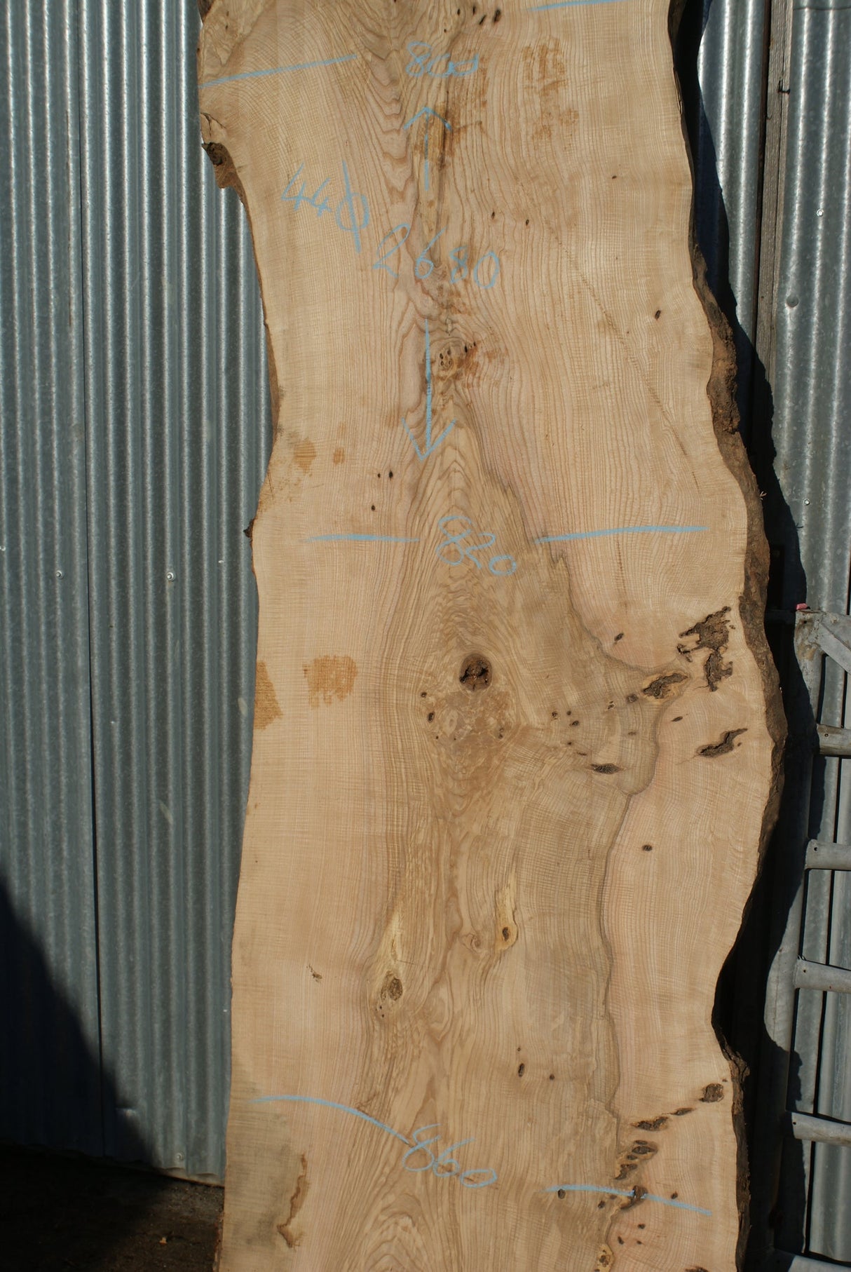 Large Single Slab Of Olive Ash. 2680 L x 865 - 702 W x 44 D mm (275)